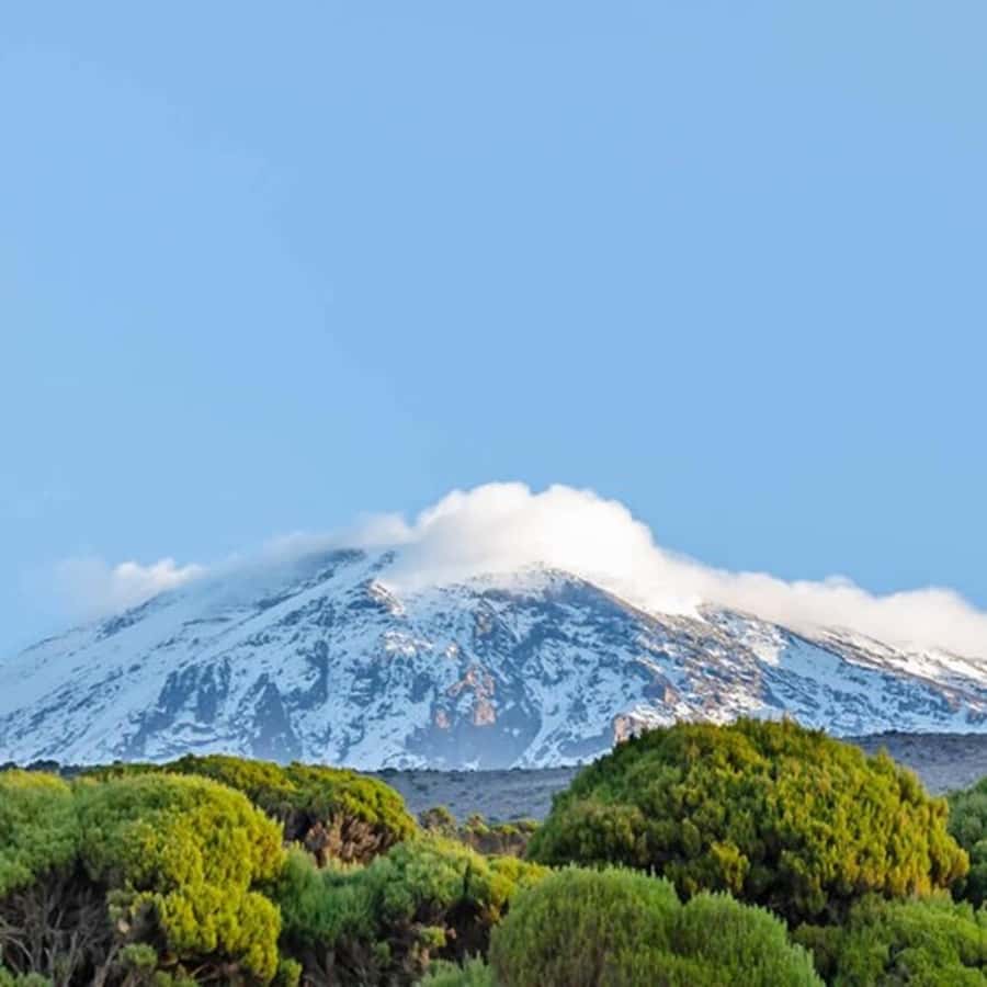#1. Best Kilimanjaro Day hike Tour-Machame Route-ISMANI - Entering the Machame Route rainforest
