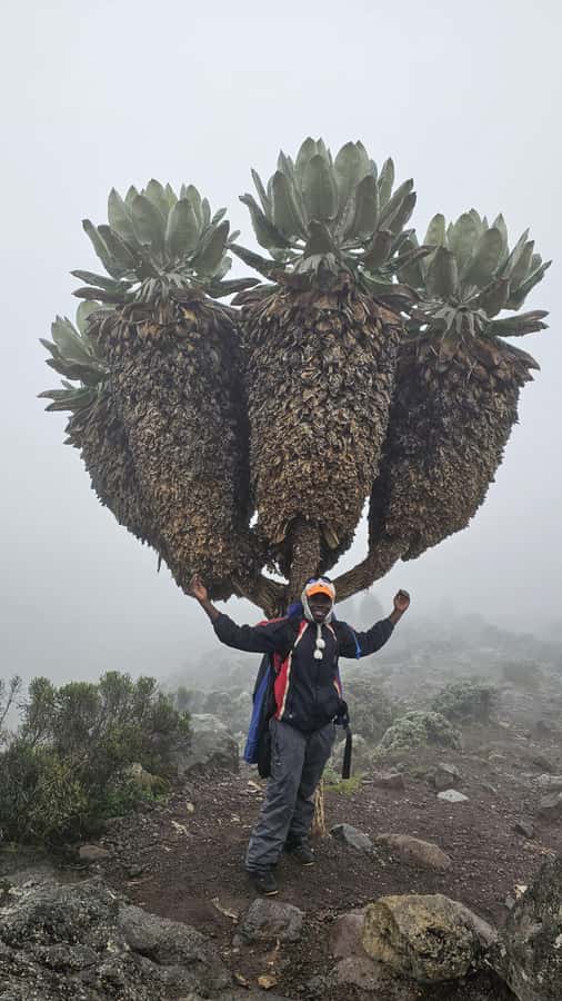 #1. Best Kilimanjaro Day hike Tour-Machame Route-ISMANI - Lunch, water, and the long return