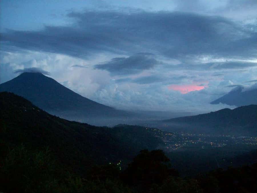 1 Day Acatenango Volcano Hike from Antigua - The final forest and the storm-beaten tree line