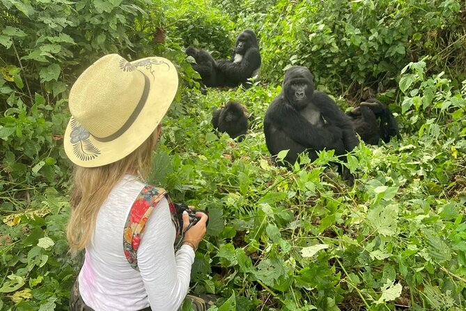 1 Day Rwanda Gorilla Trekking Tour In The Volcanoes National Park - The driver-guide and the private format