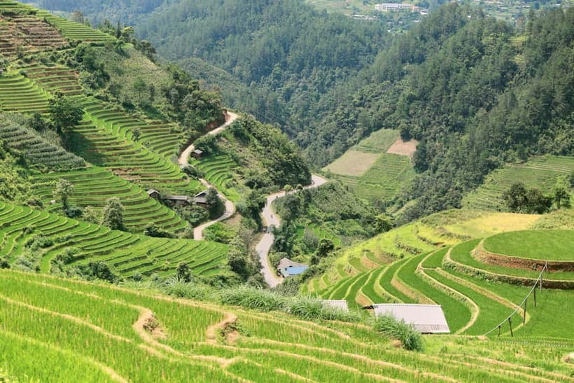 1-Day Sapa Long Trek - Rice Field Terrace, Ethnic Culture - Ta Van, the Giay village, and the ride home