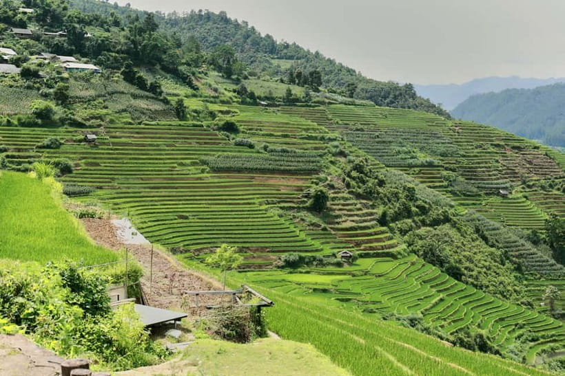 1-Day Sapa Long Trek - Rice Field Terrace, Ethnic Culture - How hard is the 12 to 15 kilometer route?