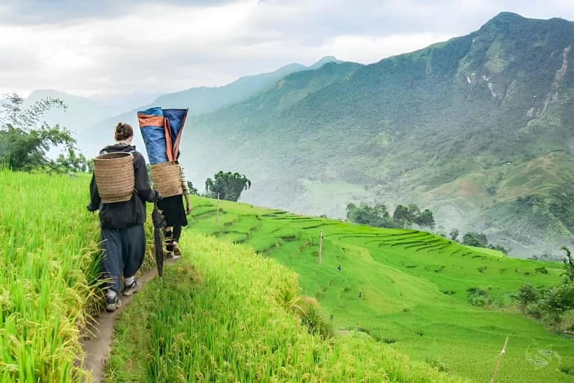 1-Day Sapa Long Trek - Rice Field Terrace, Ethnic Culture - Weather, crowds, and the feel of the day