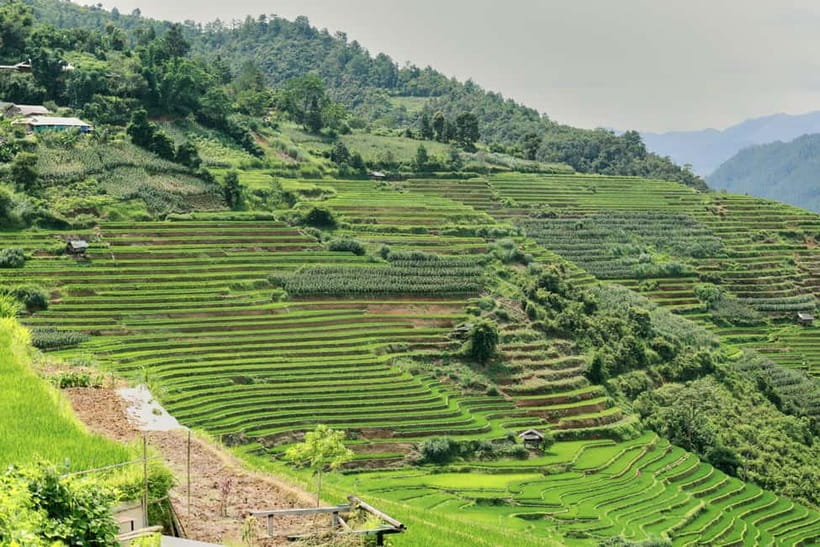 1-Day Sapa Long Trek - Rice Field Terrace, Ethnic Culture - Is $24 good value for Sapa?