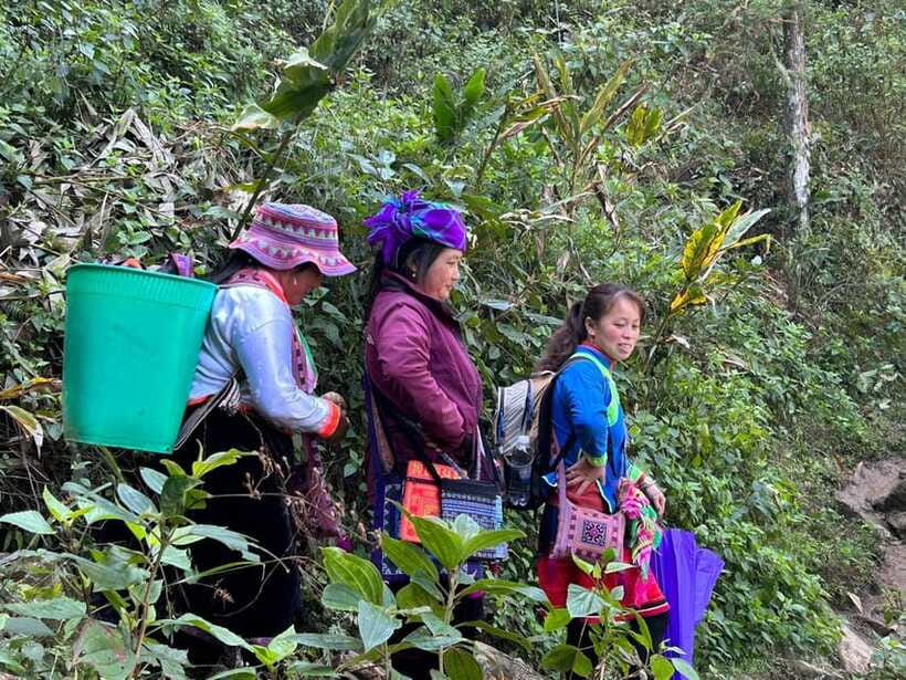 1 Day Sapa Trek&Home-cooked Lunch HmongSisterHouse&Trekking - FAQ