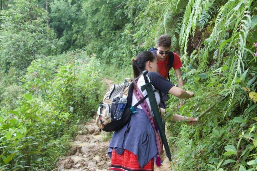 1 Day Sapa Trek&Home-cooked Lunch HmongSisterHouse&Trekking - Learning about Hmong life from a local guide