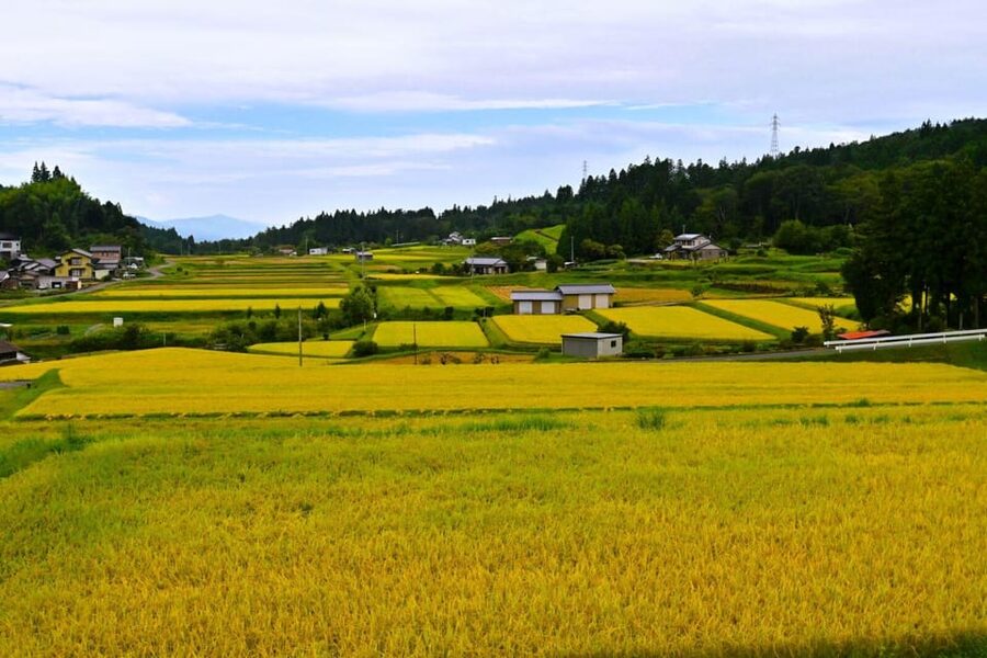 1-Day Tour from Nagoya: Hiking the Historic Nakasendo Trail - Tsumago-juku, an old post town kept intact