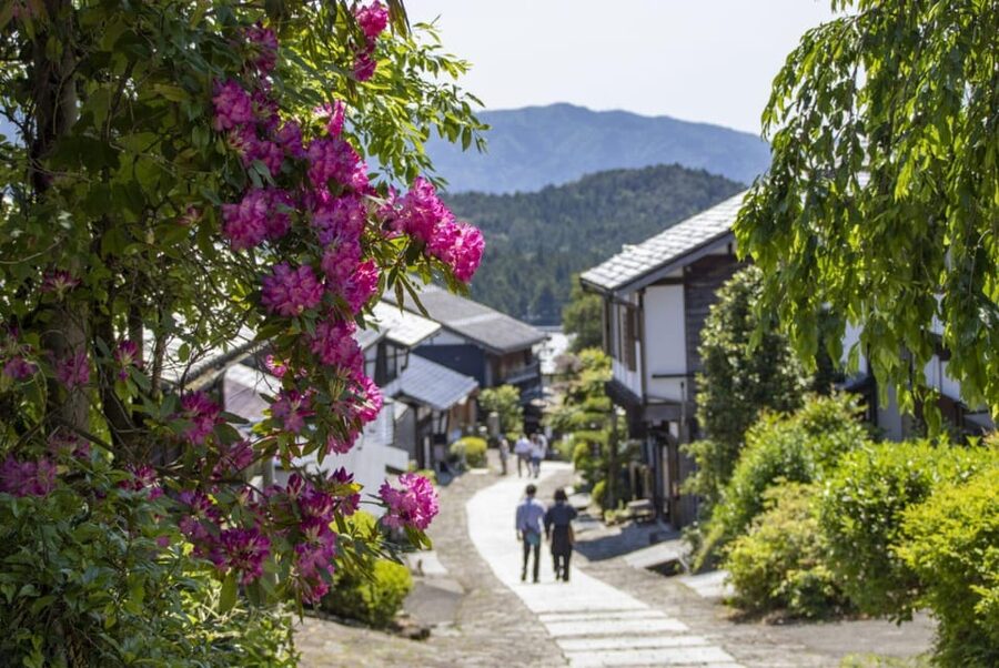 1-Day Tour from Nagoya: Hiking the Historic Nakasendo Trail - The non-hiking option