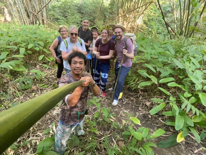 1 Day trekking : Chiang Rai popular activity,Fun in Nature. - What the $59 price includes