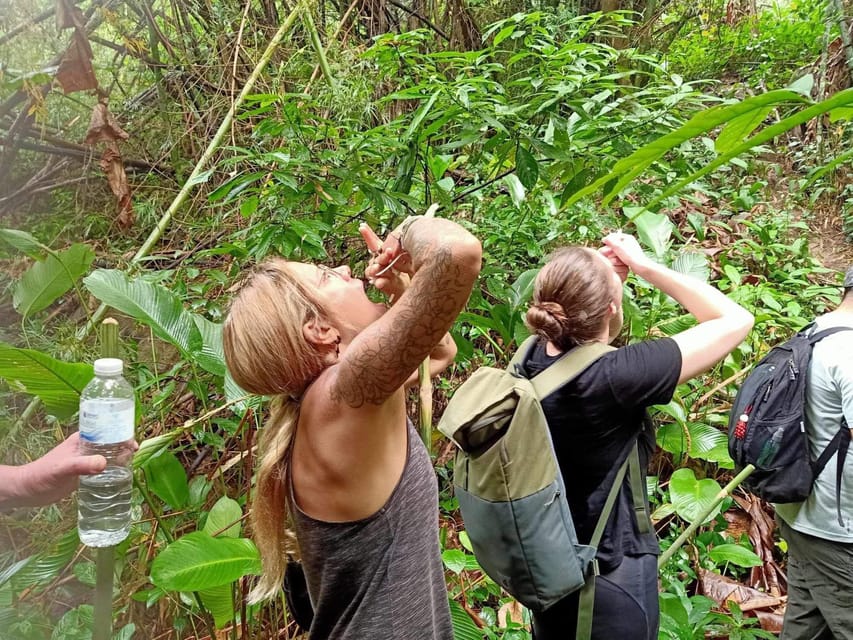 1 Day trekking : Chiang Rai popular activity,Fun in Nature. - Chinese village and tea plantation