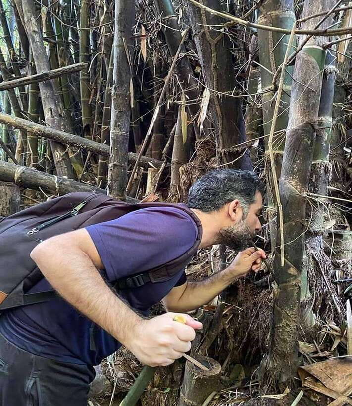 1 Day Trekking in Chiang Rai forest (walk only) - The hot spring reality check
