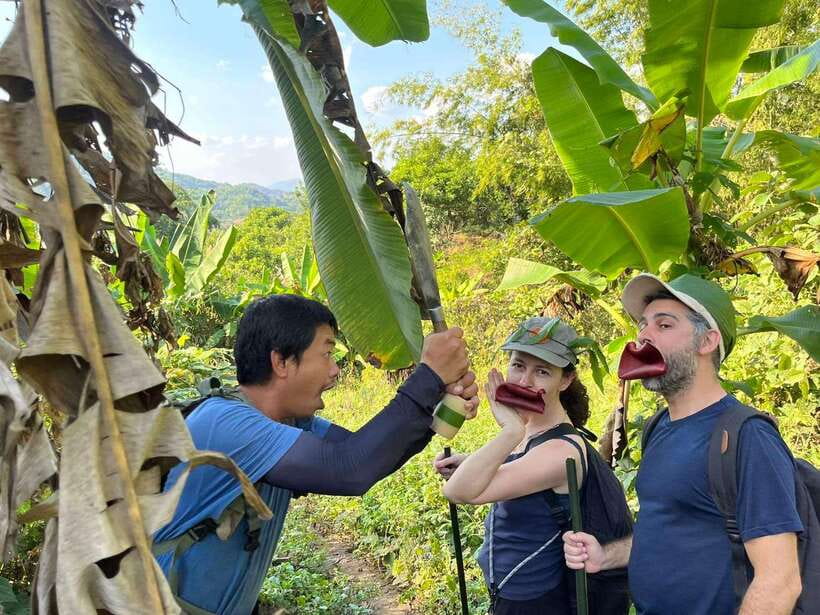 1 Day Trekking in Chiang Rai forest (walk only) - Lahu and Akha villages, with a respectful pace