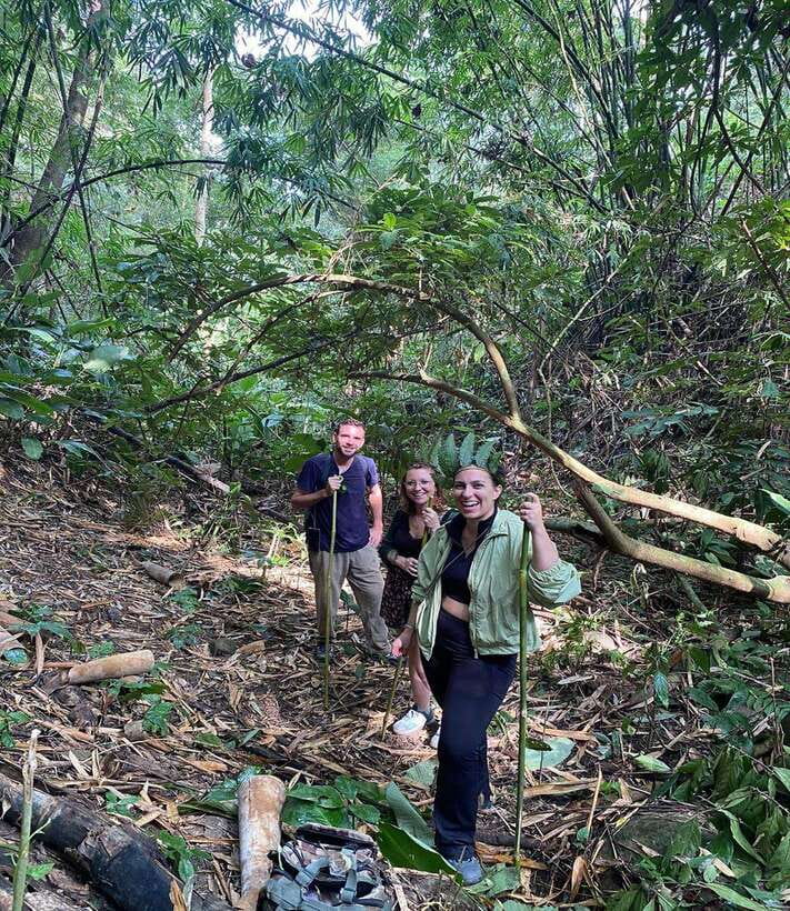 1 Day Trekking in Chiang Rai forest (walk only) - Huai Kaew Waterfall and the best cooling-off stop
