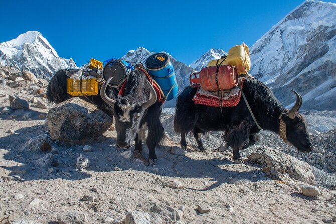 14 Days Private Tour Everest Base Camp Trek - Tengboche to Dingboche under Ama Dablam