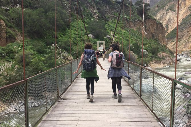 2 Day 1 Night Trek / Colca Canyon - Pampa Cañahuas and the ride back to Arequipa