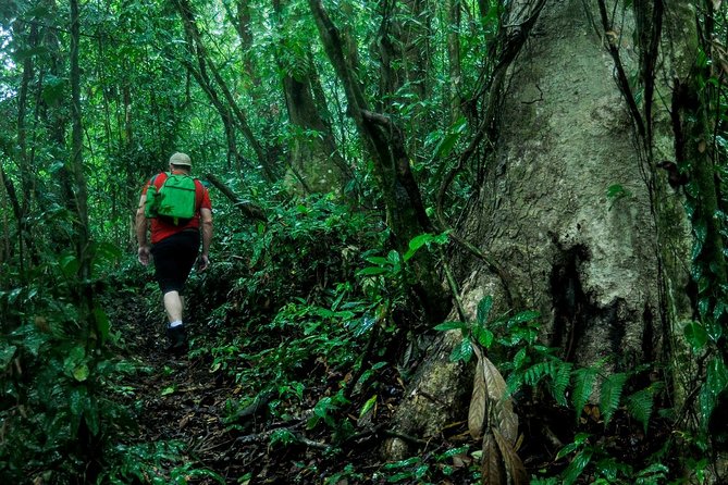 2-Day Extreme Nature Hike from La Fortuna to Monteverde - Day one: La Fortuna forest, steep trails, and river water