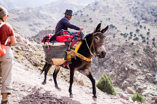 2 day mount toubkal trek ( private trek ) - Key points to know before you book