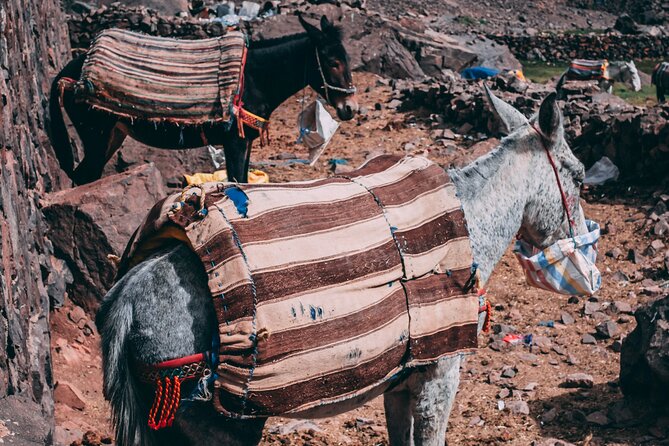 2 day mount toubkal trek ( private trek ) - The descent to base camp, lunch, and Imlil