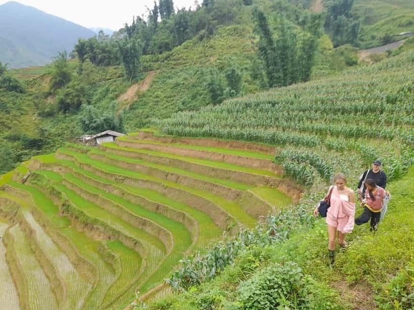 2-Day Sa Pa Ethnic Homestay Tour & Trek with Limousine Bus - Day two: bamboo forest, Giang Ta Chai, and the return road