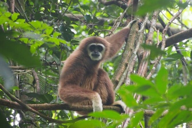 2 Days 1 Night Ethical Jungle Trekking - What this Gunung Leuser trek is really like