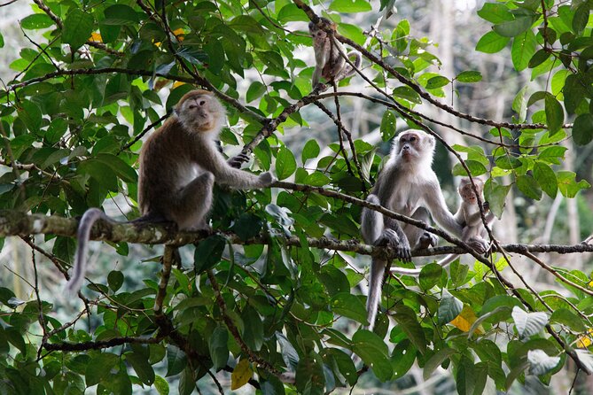 2 Days 1 Night Ethical Jungle Trekking - River camp: the overnight part that changes the trip
