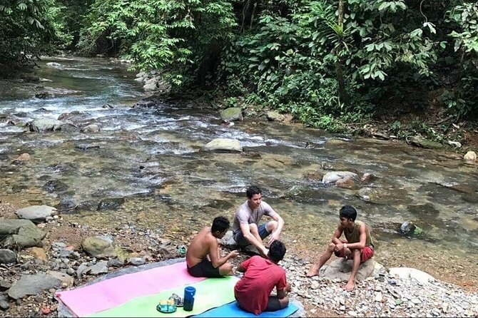 2 Days 1 Night Ethical Jungle Trekking - Day two: forest plants and a flexible return