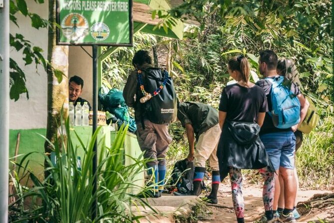 2 Days and 1 Night Ethical Jungle Trek - From Bukit Lawang to Gunung Leuser National Park