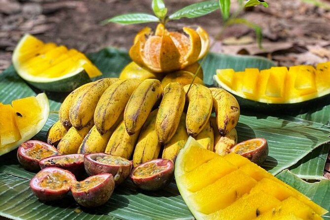 2 Days and 1 Night Ethical Jungle Trek - A night beside the river or waterfall