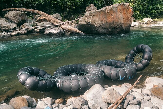 2 Days and 1 Night Ethical Jungle Trek - Ethical travel, with realistic expectations