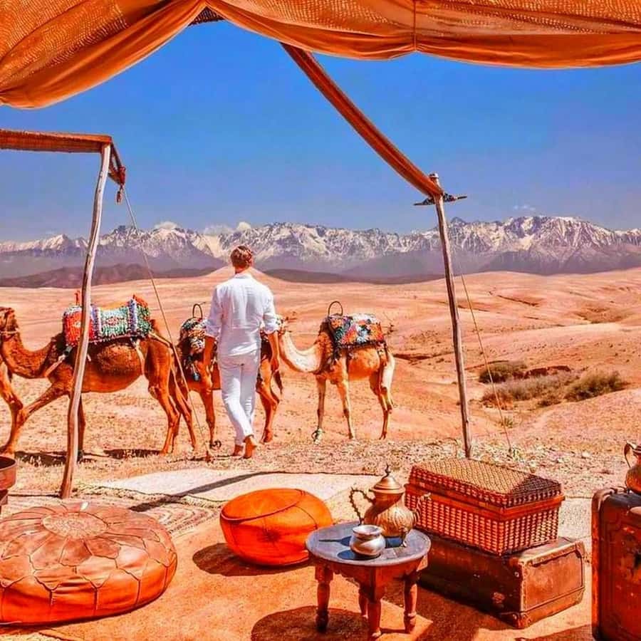 2 Days Desert Agafay and Atlas Mountains Trek From Marrakech - Lunch in camp and the return to Marrakech