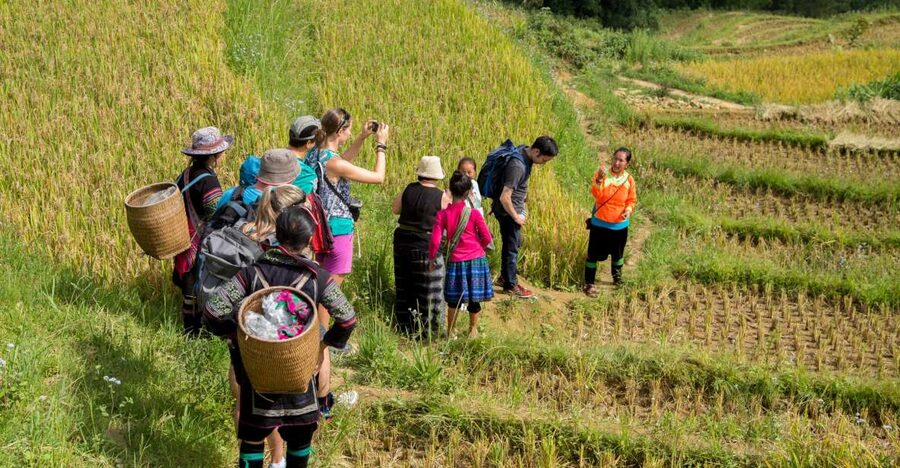 2 Night Lao Chai-Ta Van Homestay- Trekking & Fansipan Visit - Choosing Fansipan instead of the final trek