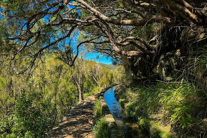 25 Fountains Levada: Hiking Tour in Madeira Rabaçal Valley (PR6) - Transport, timing, and what the $52.87 price covers