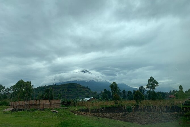 3 Day Gorilla Trek at Bwindi National Park via Kigali - What the permit and price really cover