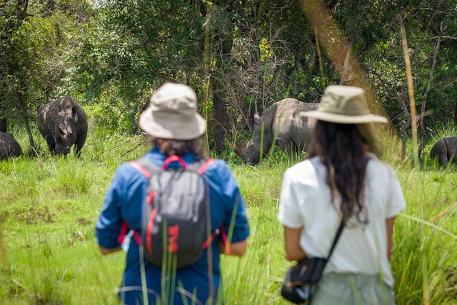 3 Days gorilla trekking Safari tour in Uganda - Why this three-day gorilla trip is worth considering