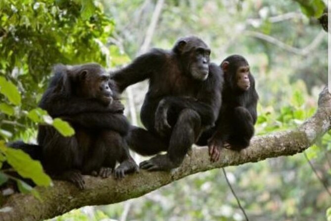 3 Days gorilla trekking Safari tour in Uganda - Lake Bunyonyi: a quieter afternoon on the water