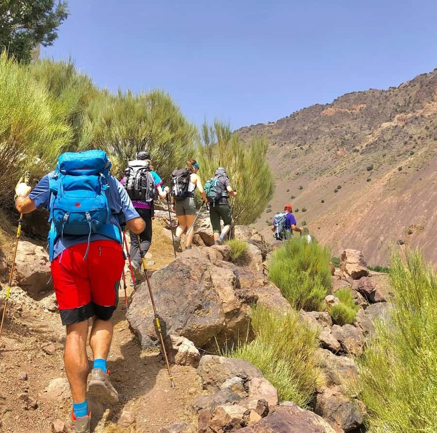 3 Days Trek Atlas Mountains Berber Villages from Marrakech - Mzik Pass and the long walk to Tamsoult