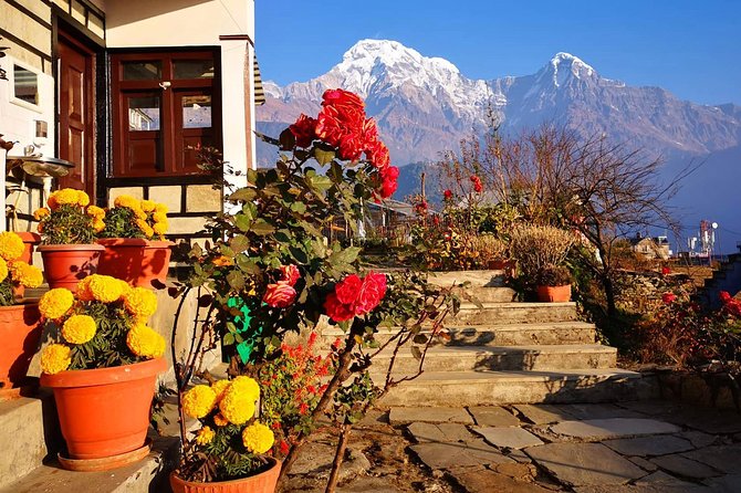 4-Day Private Poon Hill Trekking Tour - Day three: Poon Hill sunrise and the longest walking day