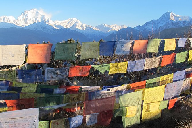 4-Day Private Poon Hill Trekking Tour - Day two: Ulleri to Ghorepani through forest and water