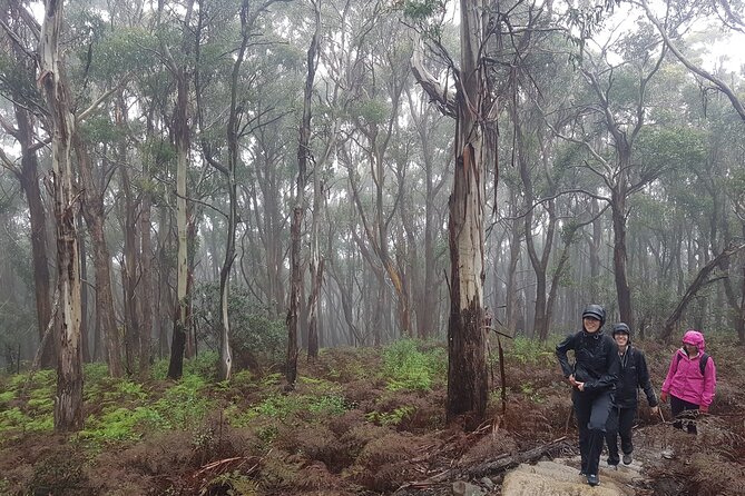 4 Day Wild Tasmania Tour / Wildlife, Nature, Hiking / Inc. Accom - Day four: Hiking around Wineglass Bay