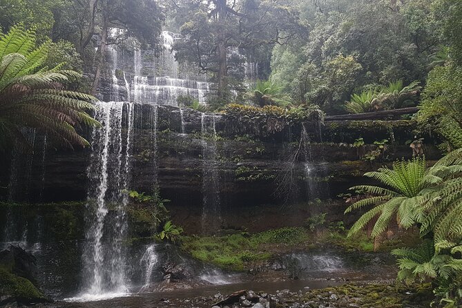 4 Day Wild Tasmania Tour / Wildlife, Nature, Hiking / Inc. Accom - Is the 4 Day Wild Tasmania Tour worth booking?