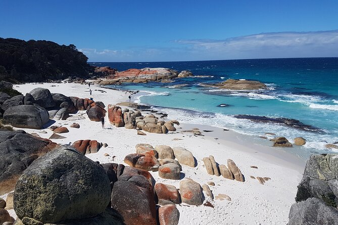 4 Day Wild Tasmania Tour / Wildlife, Nature, Hiking / Inc. Accom - Day two: Cradle Mountain and a wildlife-filled bush stay