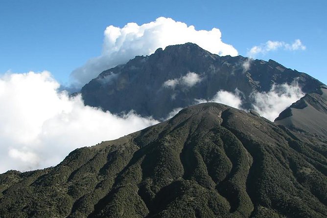 4 Days Mount Meru Trekking - From Arusha to Momella Gate on day one