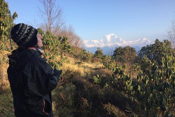 4 Days Poon Hill Trek - Why Poon Hill works for a short Himalayan trek