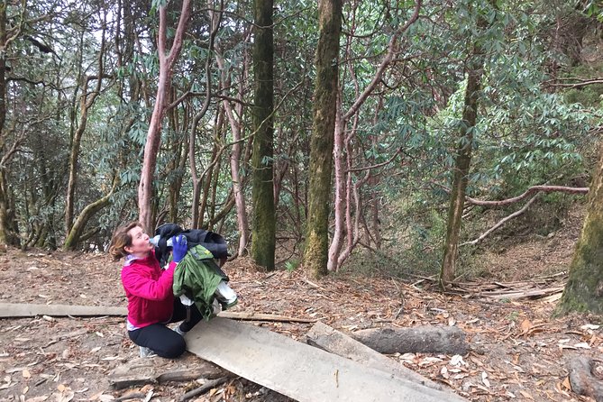 4 Days Poon Hill Trek - Is $405.13 a fair price?