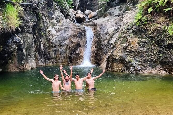 4-Hour Jungle Hike and Waterfall Swim - The first hour: river crossings and tropical forest
