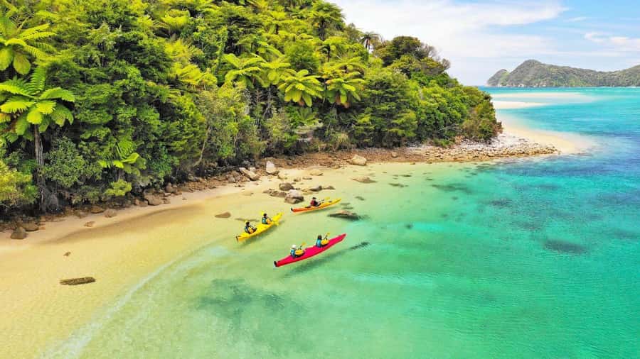 Abel Tasman National Park: Cruise, Kayak, & Hike Tour - Key points at a glance
