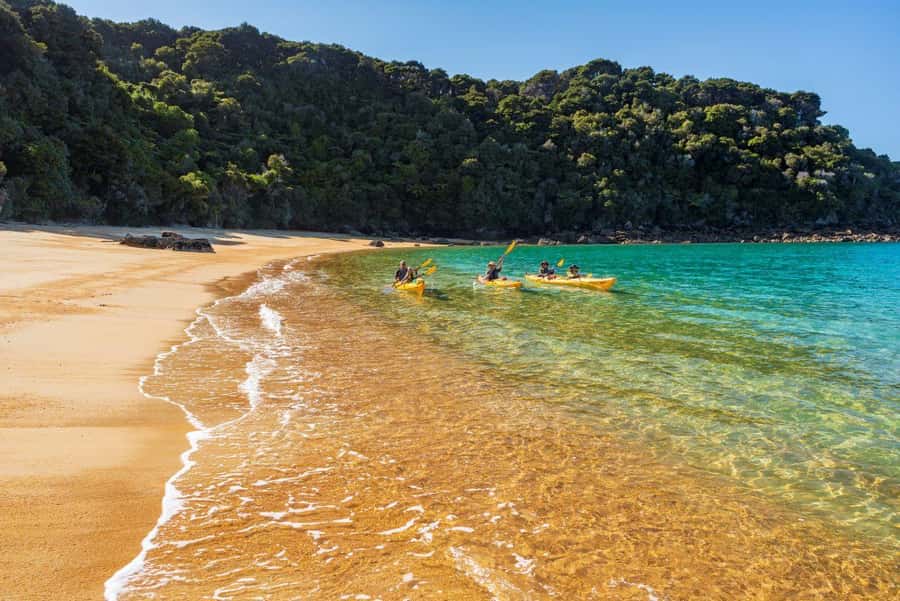 Abel Tasman National Park: Cruise, Kayak, & Hike Tour - Two and a half hours along the Astrolabe coast