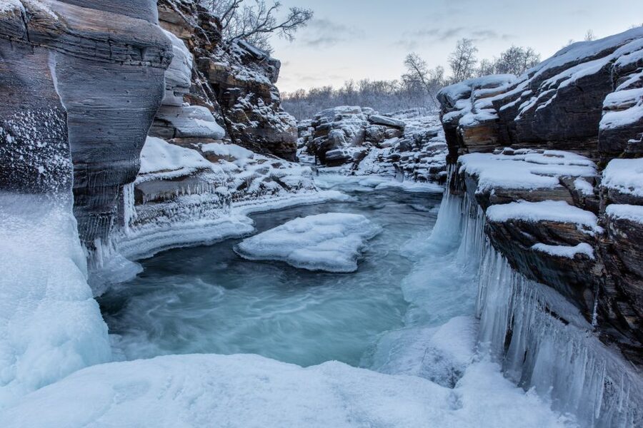 Abisko National Park: Scenic Morning Hike with Transfer - Lake Torneträsk, frozen views, and mountain light