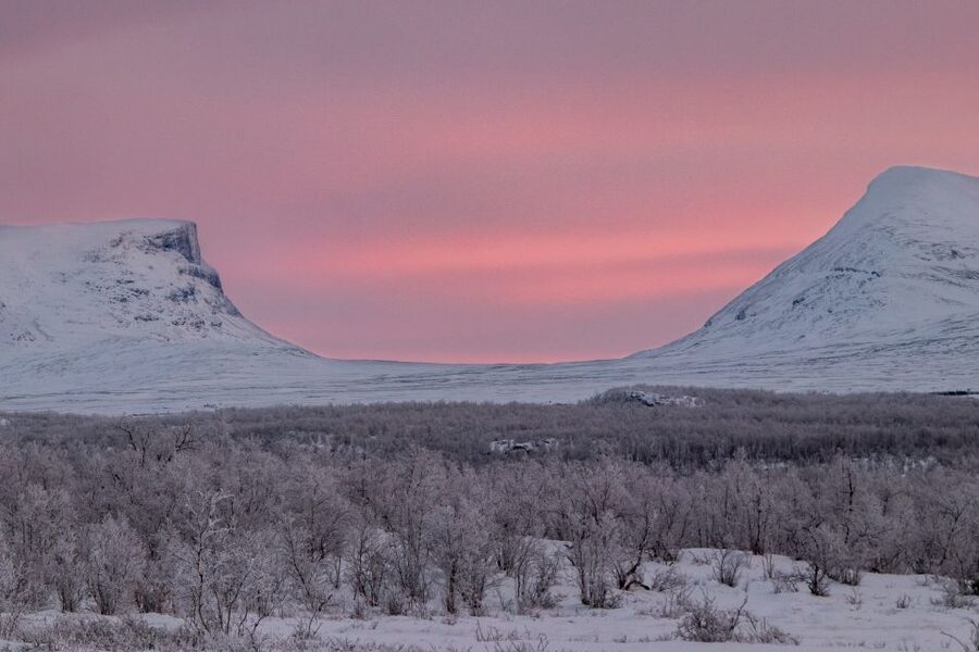 Abisko National Park: Scenic Morning Hike with Transfer - The guides make the price easier to judge