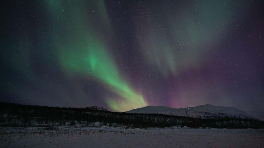 Abisko: Northern Lights Hike with Husky Puppies - Key points to know before you book